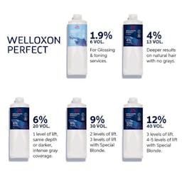 Welloxon Perfect 1,9% 1L
